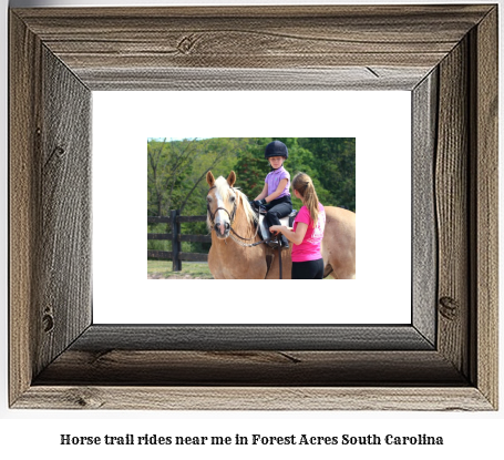 horse trail rides near me in Forest Acres, South Carolina